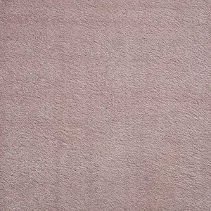 Rose Plain Shaggy Modern Rug Easy to clean Dining Room-60cm X 115cm