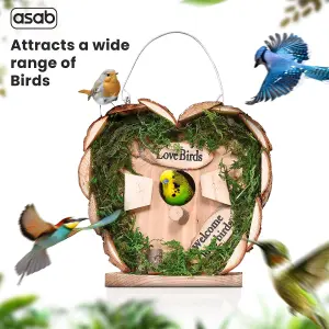 Wild Birdhouse Wooden Hanging Nest Box