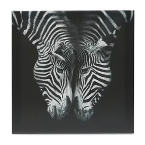 Animals Black & white Canvas art, Set of 3 (H)30cm x (W)90cm