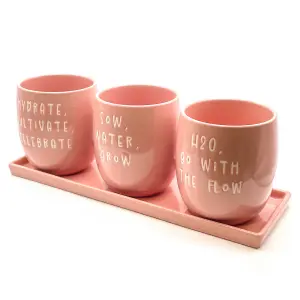 Set of 3 Pink Slogan Ceramic Planters with Tray