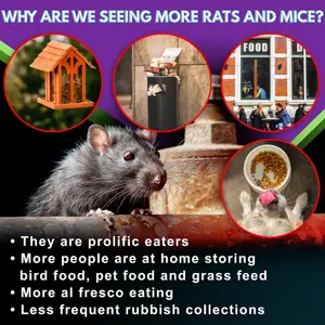 Aviro Rat and Mouse Poison - Maximum Strength Rat Poisoning Blocks. No Mess Rodent Control. 40 x 15g Bait Sachets (600g)