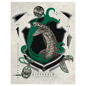 Harry Potter Limited Edition Slytherin Art Print