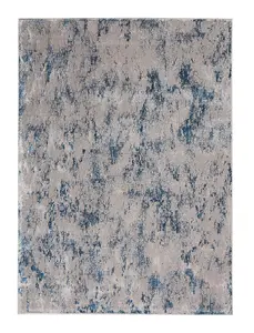 Grey Blue Modern Floral Optical/ (3D) Rug Easy to clean Living Room and Bedroom-160cm X 221cm