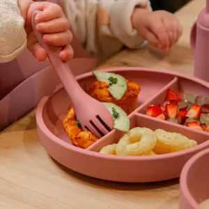 Tiny Dining - Baby Silicone Suction Weaning Set - Dusty Rose - 5pc