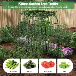 Costway 230CM Metal Garden Arch Heavy Duty Arbor Climbing Trellis Pergola Decoration