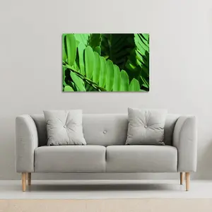 Natural dark green leaves, long slender green leaves (Canvas Print) / 114 x 77 x 4cm