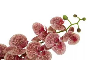 Fiori 100cm Spray Pink Orchid Artificial Plant Foliage