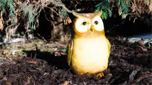 Garden Outdoor Solar Powered Light Up Animal Owl Bird Ornament Gnome Decoration