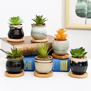 simpa 6PC Mixed Shape Pattern Ceramic Plant Pots with Bamboo Base