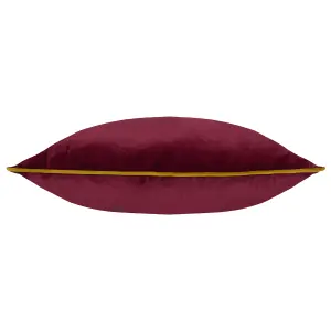 Paoletti Meridian Velvet Feather Rich Cushion