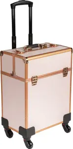 Pink Professional Make-Up Trolley Case