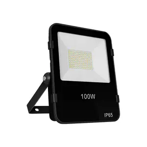 Phoebe LED Floodlight 100W Atlas Cool White Black Powder Coat