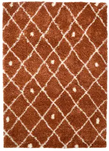 Snug Collection Nomadic Shaggy Rugs  I044A