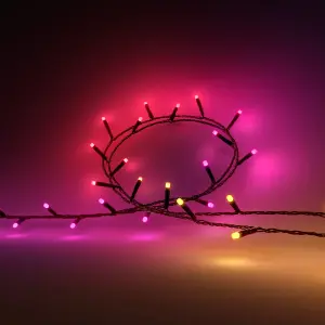 Philips Hue Festavia White and Colour String Lights 250LED