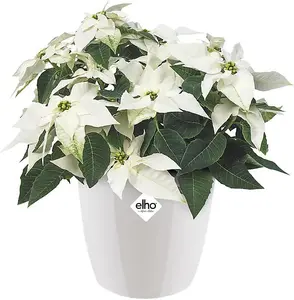 Elho Recycled Plastic Brussels Diamond 14m White Plant Pot