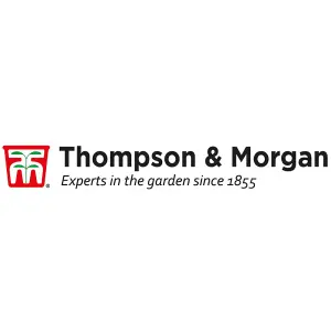 Green Manure 1 Seed Packet - Thompson & Morgan