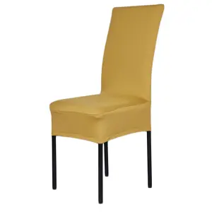 Gold Universal Dining Spandex Chair Cover, Pack of 1