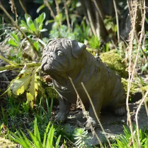 Full Size Pug Cold cast Bronze dog Statue