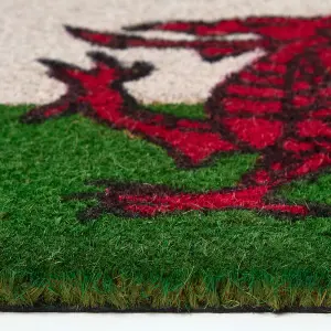 Homescapes Coir Doormat Welsh Dragon Flag, 40 x 60 cm