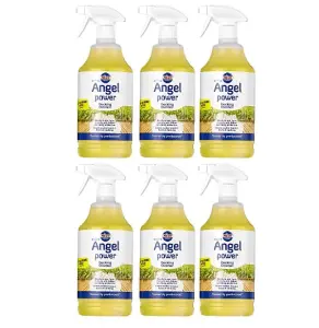 Nilco Angel Power 6L Garden Decking Wooden Floor Cleaner & Trigger Foam 6x 1L