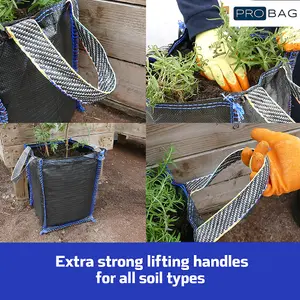 PRO Bag Planter Bag - PREMIUM GRADE - Extra Strong  Planter Bag With Drainage  - Plant Potatoes, Vegetables, Fruit