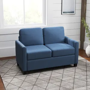 HOMCOM Modern 2 Seater Sofa with Spring Cushion, Back Pillow, Blue