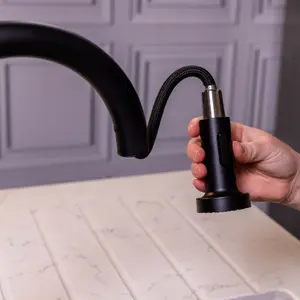 Flode Runda Kitchen Sink Mixer with Pull out Spray Matt Black Round Head