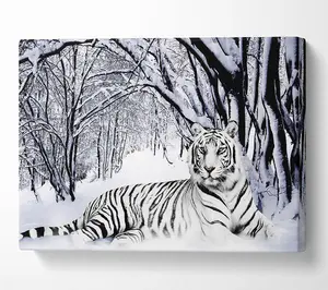 White Tiger In The Snow Canvas Print Wall Art - Medium 20 x 32 Inches