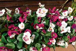 Best Artificial 30cm Lilac Pansy Plug Plant - Pot Not Included