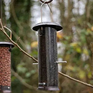 Hanging Wild Bird Feeder Set of 4 Nut Seed Fat Ball Nyger Garden Feeding Station