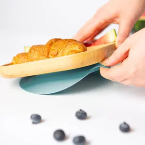 Tiny Dining 4pc Silicone Bamboo Plate Suction Cup Set - Multicolour