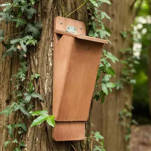 Treecreeper Nest Box - Plywood - L10 x W13 x H36 cm