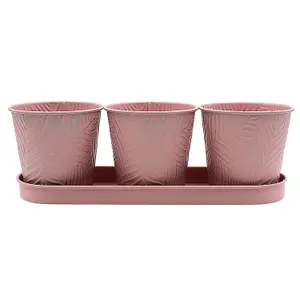 3pc Pastel Pink 0.6L Metal Planter Garden Herbs Plant Pot Embossed Leaf Bowl