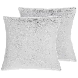 Set of 2 Cushions CLEMATIS Faux Fur 45 x 45 cm Solid Light Grey