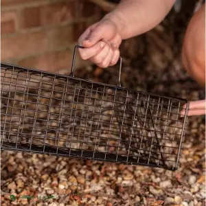 Deadfast Catch & Release Bait Box Garden Mice Rodent Capture Rat Cage