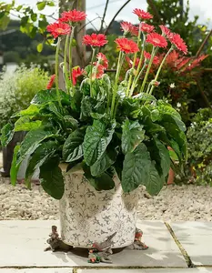 Robin Plant Pot Feet - Set of 3