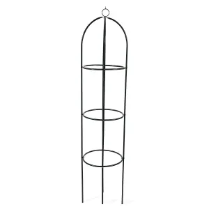 Garden Plant Obelisk For Garden Plants Vines Support