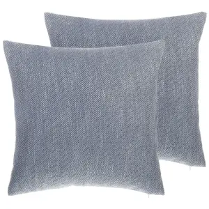 Set of 2 Cushions LUPINE 45 x 45 cm Chevron Grey