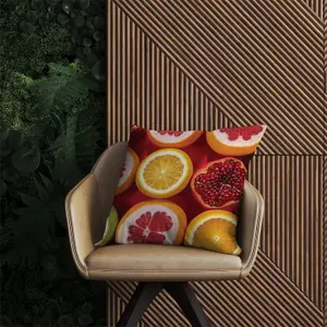 Citrus And Pomegranate Outdoor Cushion 60cm x 60cm