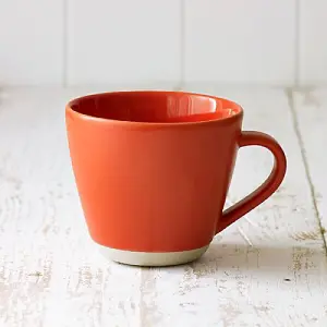 Sur La Table Colour Me Happy Orange Mug