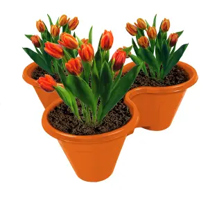 Trio Stackable Stacking Strawberry Planter Plant Flower Pot Herb Garden - Terracotta