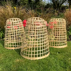 GardenSkill Bamboo Bell Cloche & Decorative Garden Plant Cover 50cm H, Pk of 3