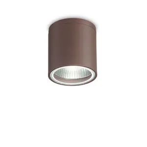 Luminosa Gun 1 Light Round Surface Mounted Downlight Coffee IP44