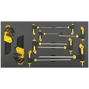 26 Piece T-Handle and TRX-Star Key Set with Tool Tray for Organized Tool Storage