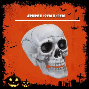 Large Skull Decoration with Moving Jaw Trick or Treat Party 19cm White