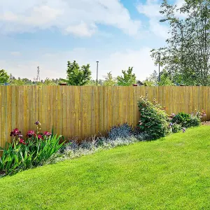 Bamboo Screening Roll Natural Fence Panel Outdoor Garden 1m x 4m