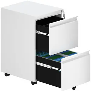 39cm Wide 2 -Drawer Mobile Steel File Cabinet White