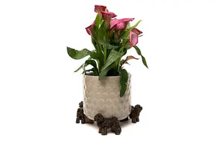 Bichon Frise Plant Pot Feet - Set of 3 - L9 x W10.5 x H7 cm