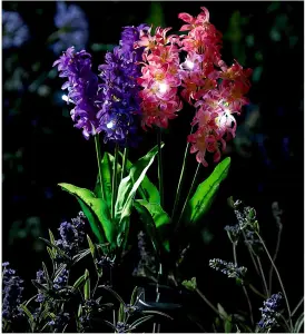 2 x Hyacinth Style Solar Stake Lights - Pink & Purple Flower Shaped Outdoor Garden Lighting Decorations - Each Measure H70cm