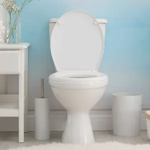 RTS Universal Oval - Top Fix - Soft Close - Quick Release Toilet Seat 375 x 445